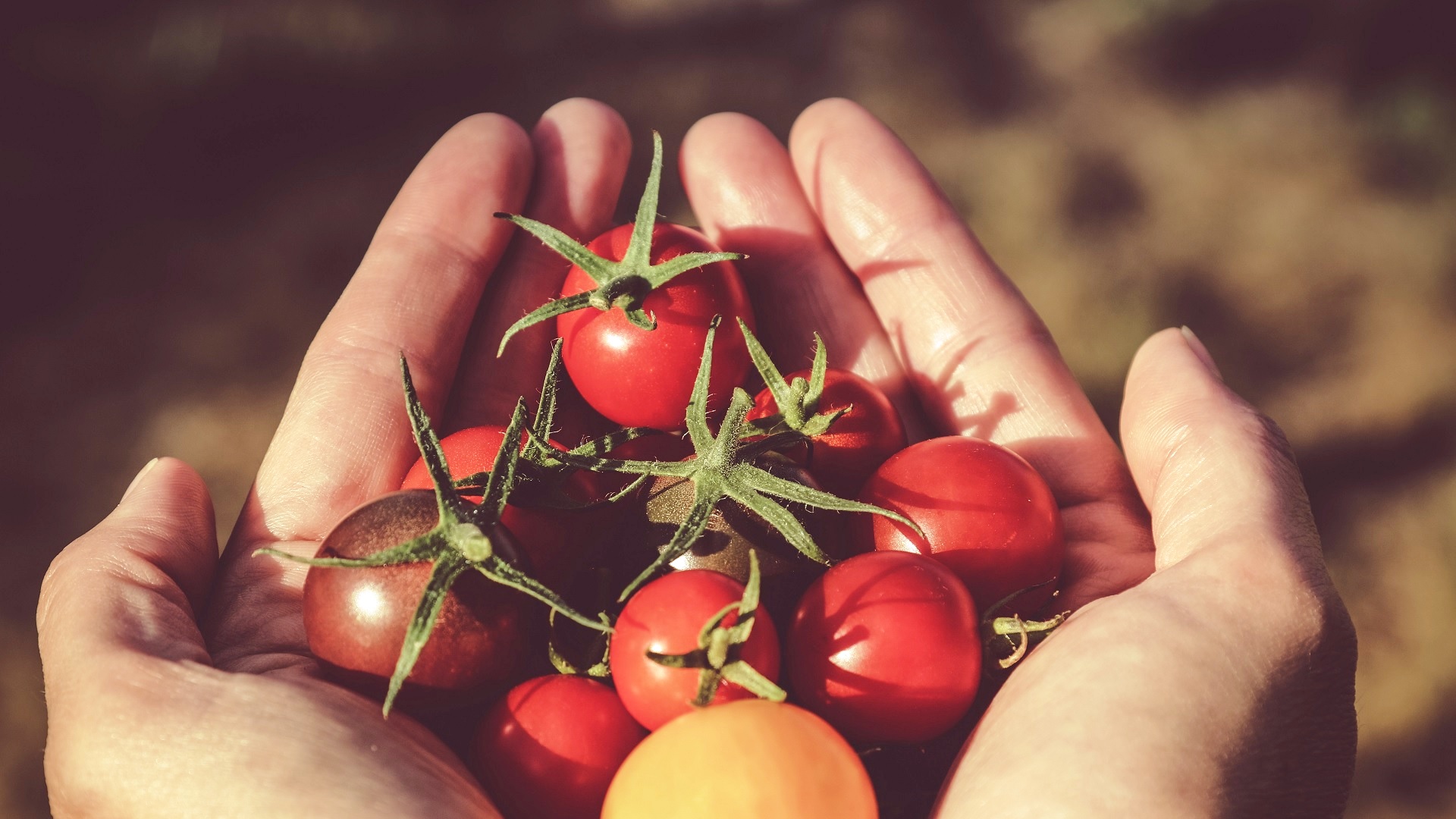 Marbella, an organic city