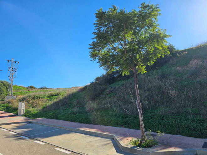 Parcela exclusiva en venta en Arroyo de Enmedio, Estepona Oeste