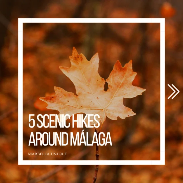🍂 5 Scenic November Hikes Around Málaga 🍂Take advantage of the cooler weather this November and explore some of the most breathtaking hiking spots around Málaga:El Caminito del Rey – Walk this thrilling cliffside path with spectacular views of the gorge.
El Torcal de Antequera – Hike through surreal limestone landscapes and panoramic viewpoints.
Sierra de las Nieves – Discover beautiful autumnal scenery in this mountainous national park.
Montes de Málaga – Enjoy peaceful forest trails with stunning views over Málaga and the coast.
Río Chillar Walk – A refreshing river hike, perfect for November’s cooler temperatures.Get outdoors and explore the natural beauty of the Costa del Sol! 🍁🏞️📲 +34 952908712
📧 contact@marbellauniqueproperties.com
📍 C/Jesus Puente, 25, Puerto Banus, Marbella
🌍 www.marbellauniqueproperties.com#UniqueProperties #MarbellaUnique #GoldenMileMarbella #CoastalElegance #ExclusiveLiving #MarbellaCharm